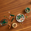 10343 LEGO Botanicals Miniorkidea