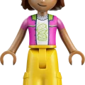 42703 LEGO  Friends Аттракцион «Горки русалок»