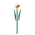 40747 LEGO  Iconic Narsissit