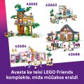 42687 LEGO  Friends Lianni peremaja