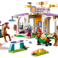 41746 LEGO  Friends Hobuste koolitus