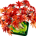 10348 LEGO Botanicals Japāņu sarkanā kļava – Bonsai kociņš