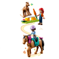 41746 LEGO  Friends Ratsastustunti