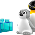 10442 LEGO DUPLO Town Luonnoneläinperheet: pingviinit ja leijonat