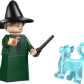 76460 LEGO Harry Potter TM Sigatüüka loss: Sõõlamiskübara tseremoonia
