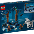 76432 LEGO Harry Potter TM Kielletty metsä: Taikaolennot