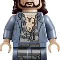 76475 LEGO Harry Potter TM Запретный лес: Экспекто патронум