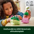 11506 LEGO Botanicals Kiikuvad taimed