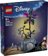 43288 Sally lillepott